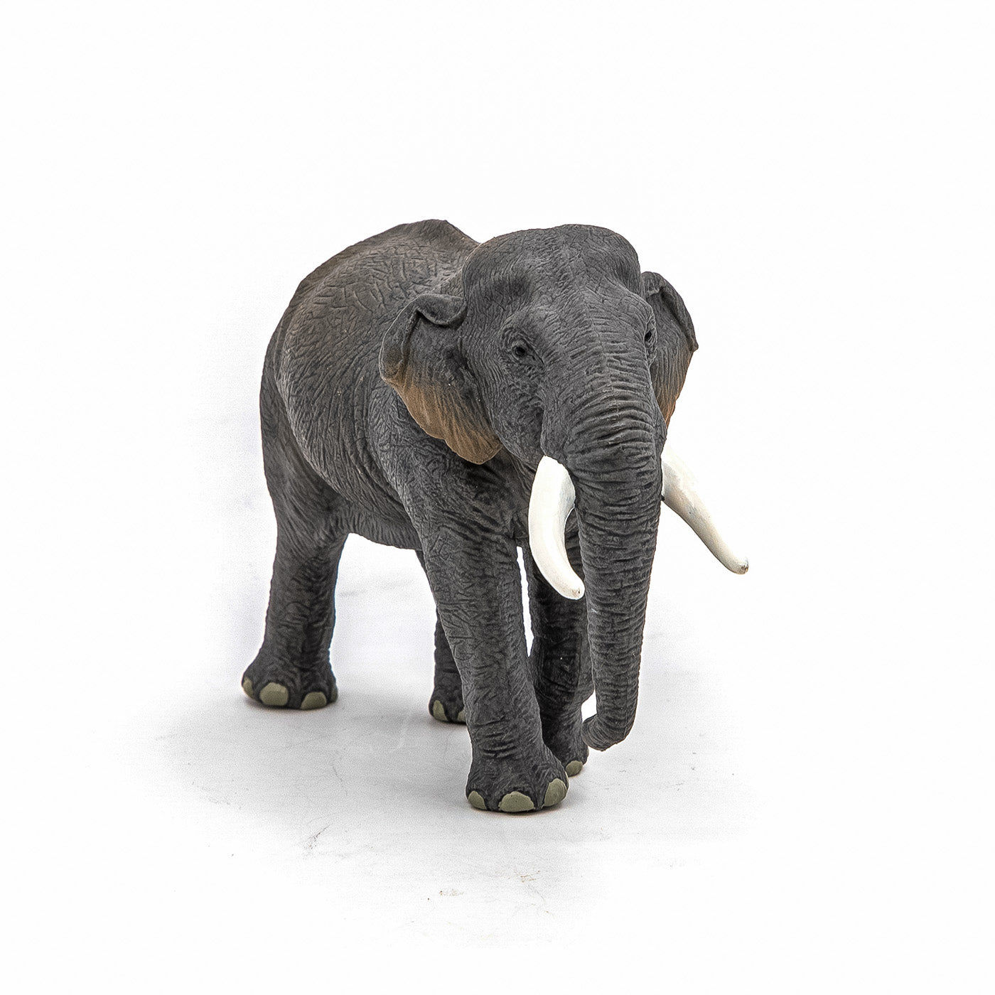 PAPO FIGURINA ELEFANT ASIATIC - Imagine 4