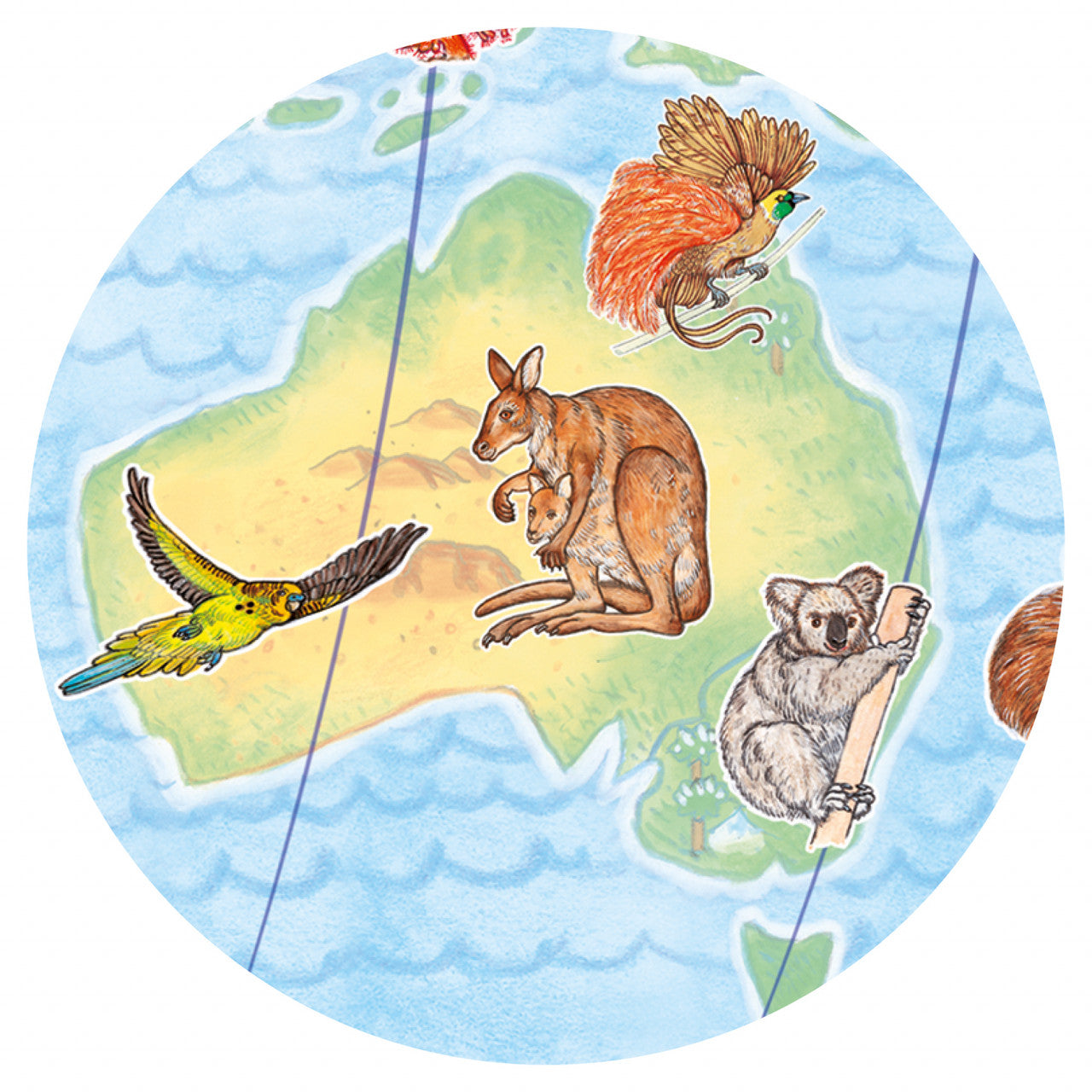 Puzzle observatie Animalele lumii, Djeco - Imagine 4