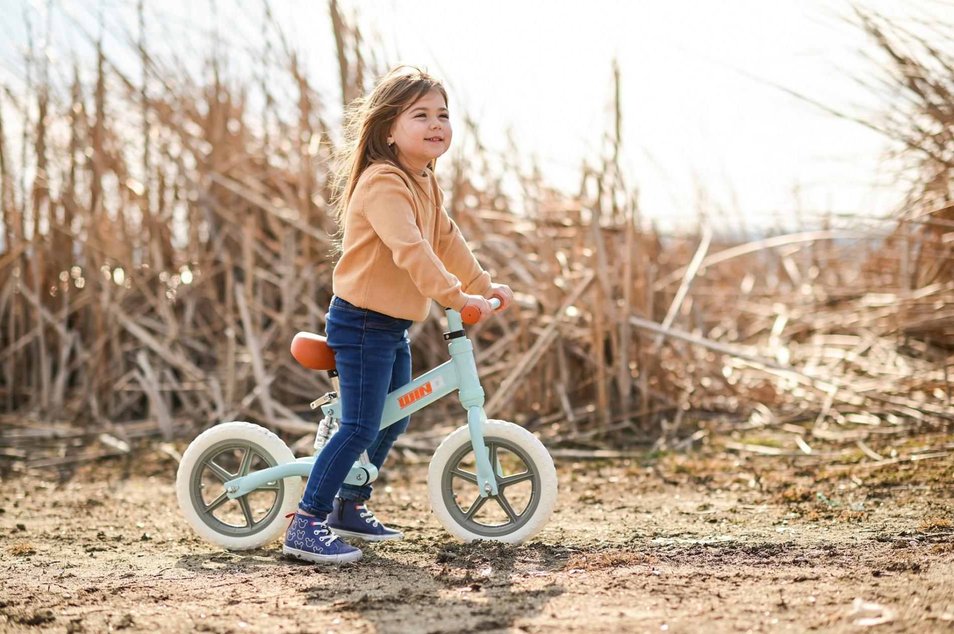 Bicicleta de echilibru Wind, de la 2 ani pana la 5 ani, cadru cu amortizor, roti mari, sa reglabila - Imagine 5 [ps:8baf6f47-9771-4ffd-b950-57aed761668a]