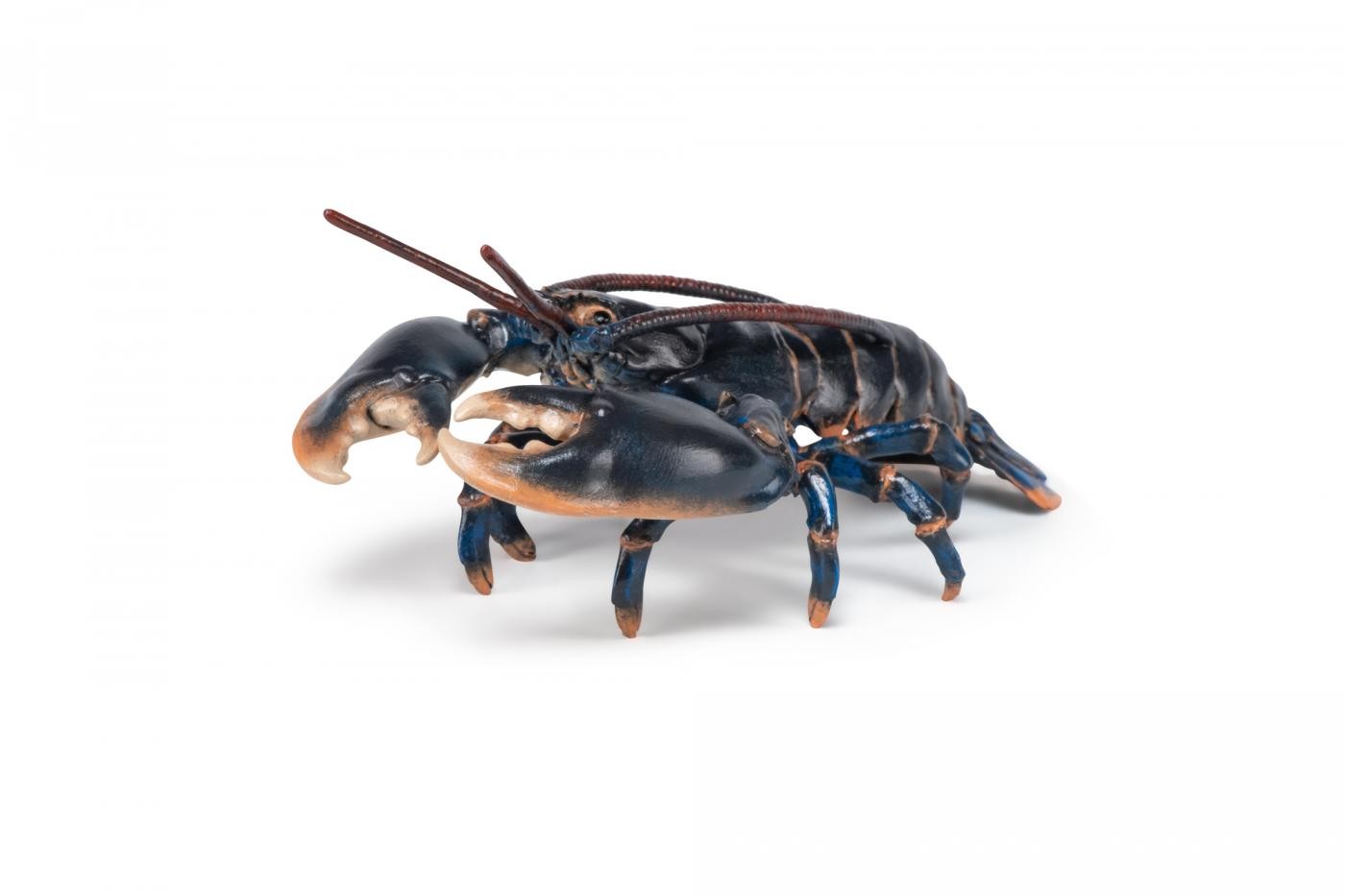 PAPO FIGURINA HOMAR - Imagine 5 [ps:62030b98-484b-4afd-a2a6-08887afa43bb]
