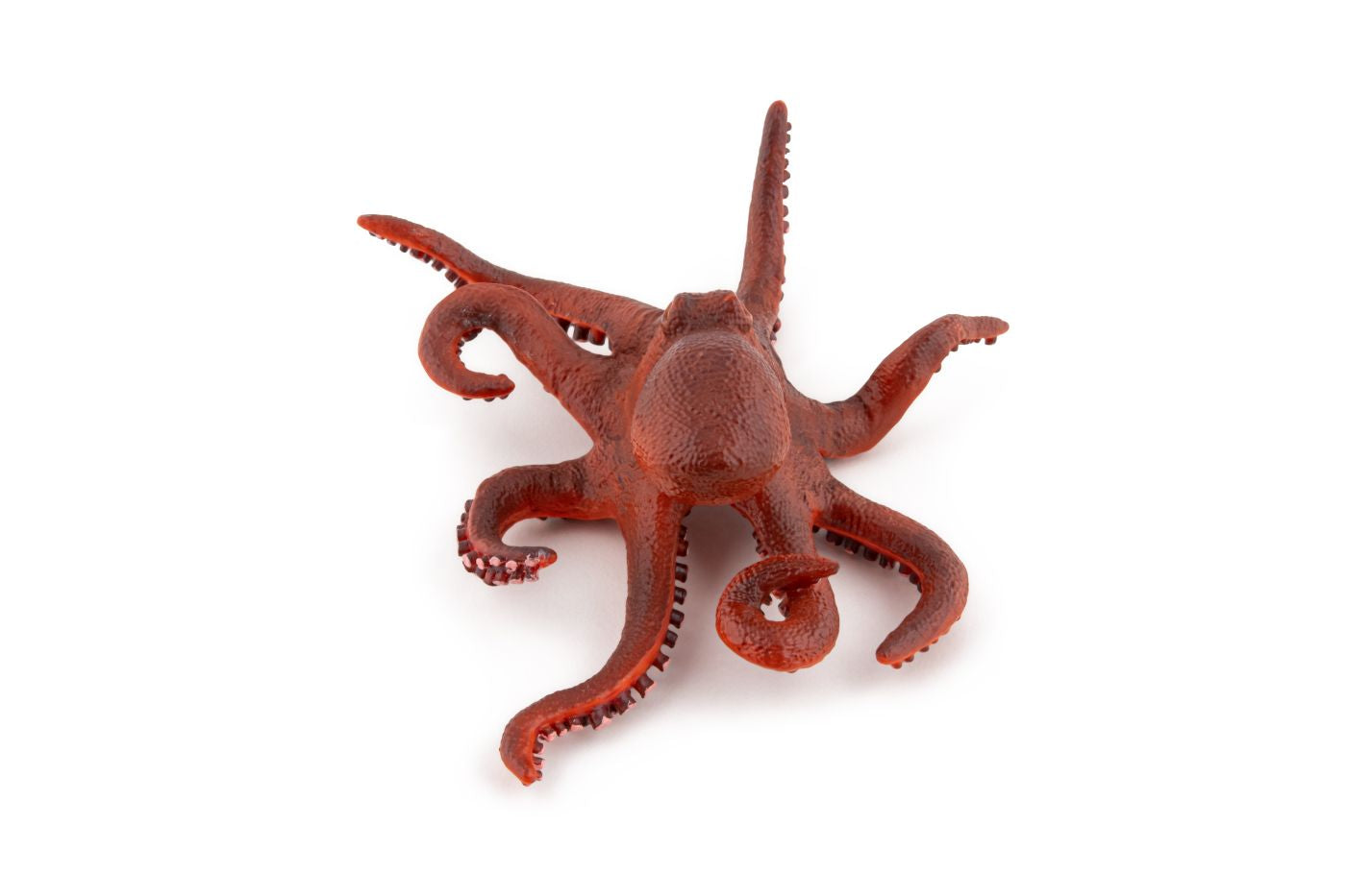PAPO FIGURINA CARACATITA MICA - Imagine 2 [ps:c586fd83-9f02-4811-b7c5-a1c353fded8b]