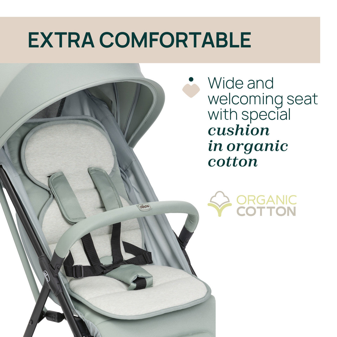Carucior sport Chicco Taormina, Blush (Roz), 0luni+ - Sage (VerdeGri) (5) [ps:f41675d5-84fc-46d0-87a9-6d148ccef996]