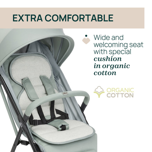 Carucior sport Chicco Taormina, Blush (Roz), 0luni+ - Sage (VerdeGri) (5) [ps:f41675d5-84fc-46d0-87a9-6d148ccef996]