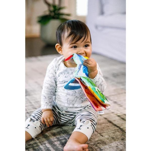 Jucărie Dentiție Baby Einstein - Carte Curious Explorers - Default Title (5) [ps:9c6c3744-d3c6-4dd9-a941-a1bb36fb1642]
