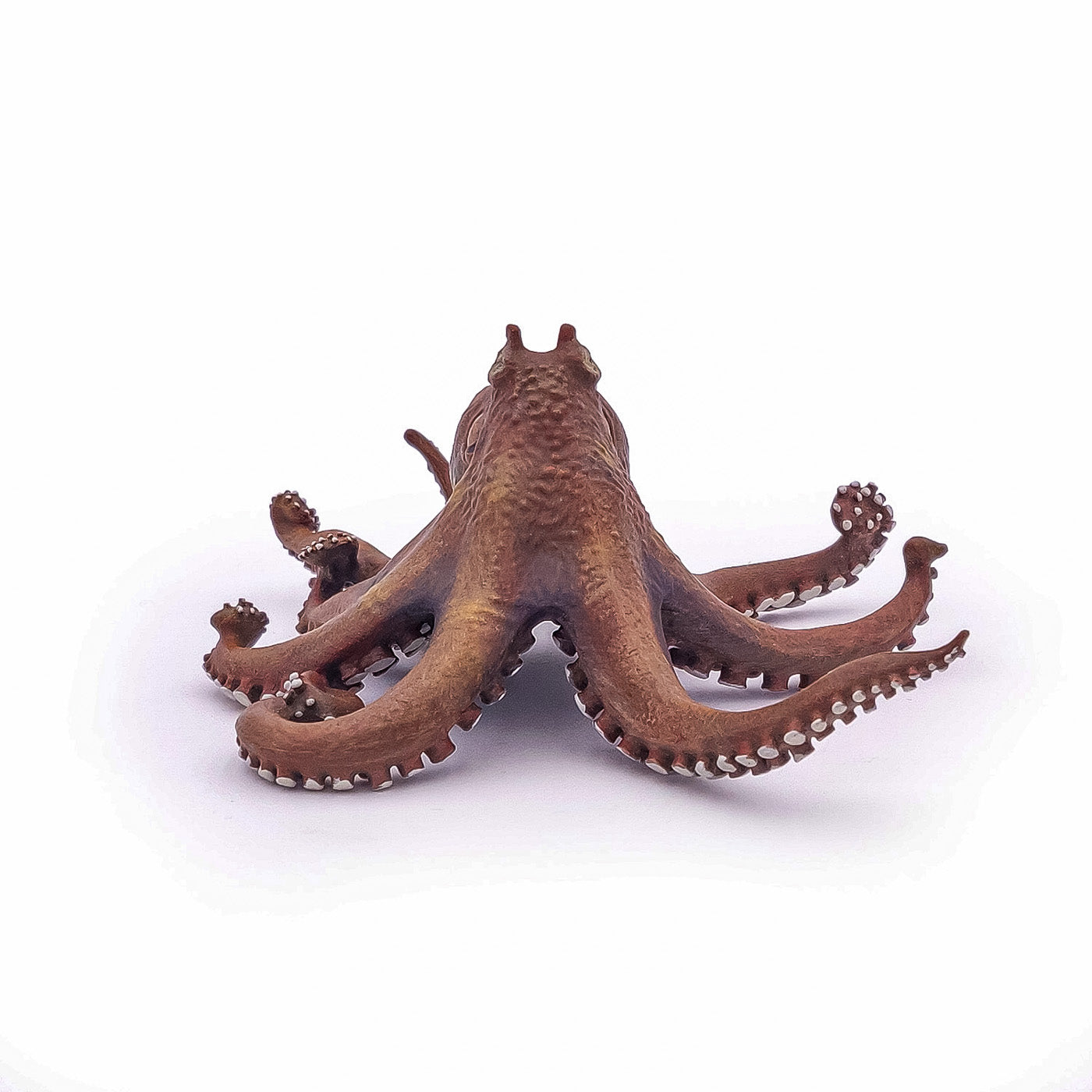 PAPO FIGURINA CARACATITA - Imagine 4 [ps:dbbe1cef-6c28-438b-9eaf-e85d3ff089e8]