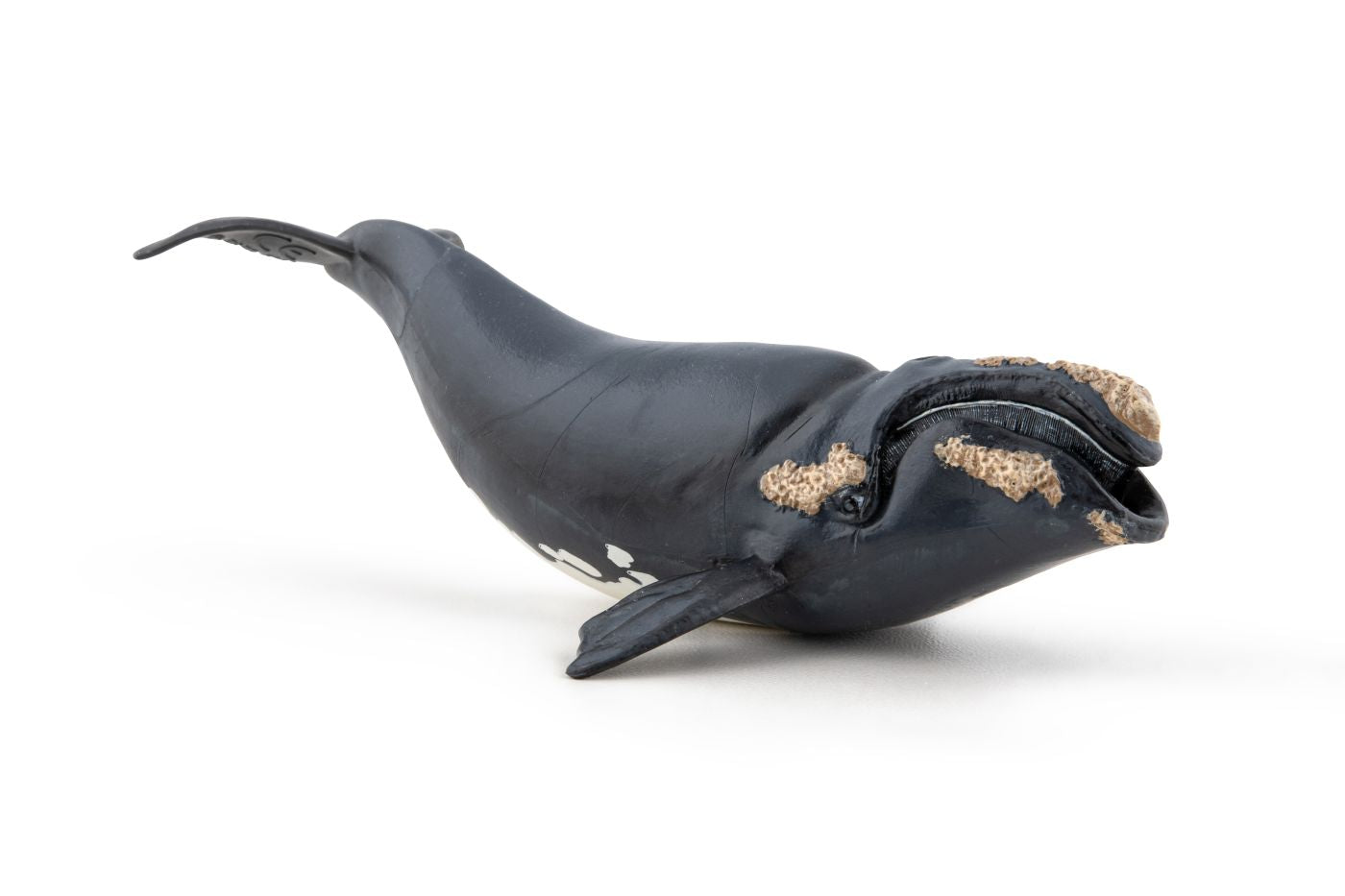 PAPO FIGURINA BALENA - Imagine 4 [ps:387b5fe5-f439-4c8d-a495-1c30285833b4]