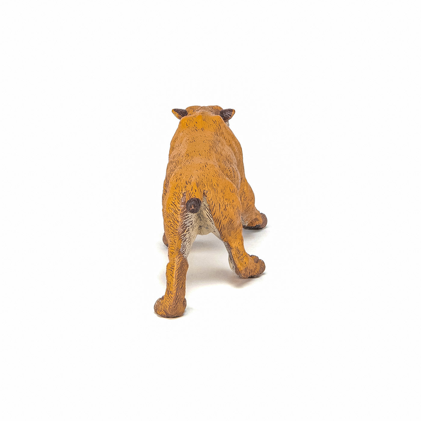 PAPO FIGURINA SMILODON - Imagine 7 [ps:656b4e73-d726-4d9b-ae0a-89ecec99cd0c]