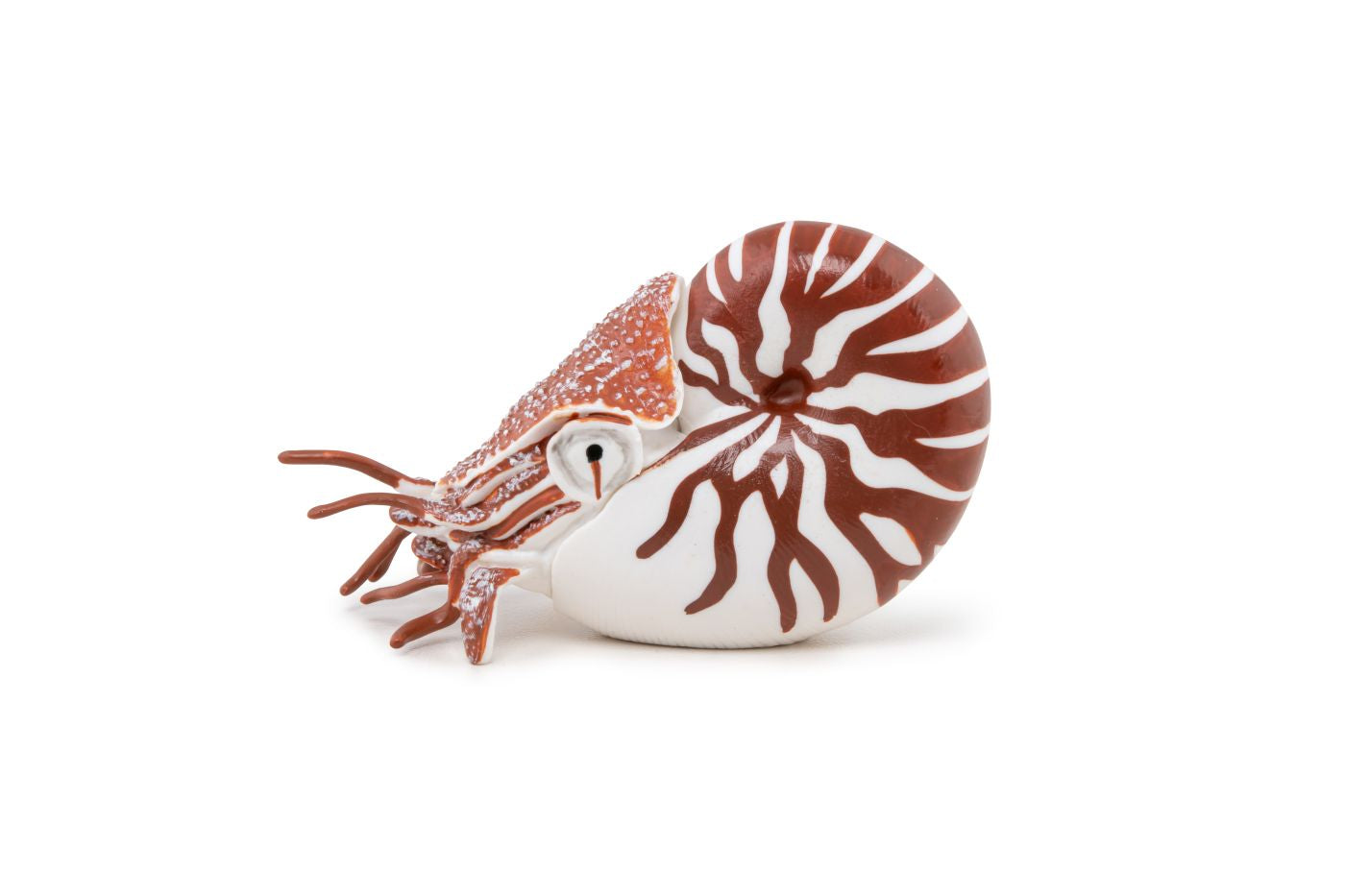 PAPO FIGURINA NAUTILUS - Imagine 5 [ps:8705b067-c206-44d8-ba93-0b1aa4ec5b06]