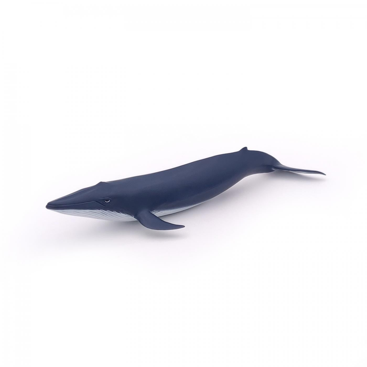 PAPO FIGURINA PUI DE BALENA ALBASTRA - Imagine 2 [ps:8e1f97f7-6755-4de7-8580-df6e4c099f29]