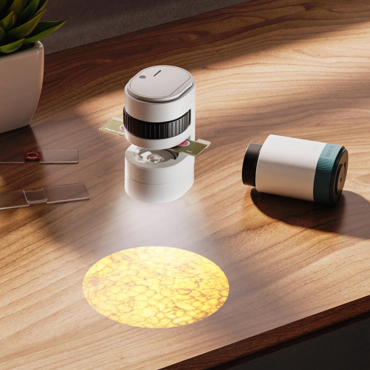 Joc STEM Microscop cu proiector 350, TopBright TopBright - Imagine 3 [ps:7134da32-73bd-4f2b-8356-55301b14c7ad]
