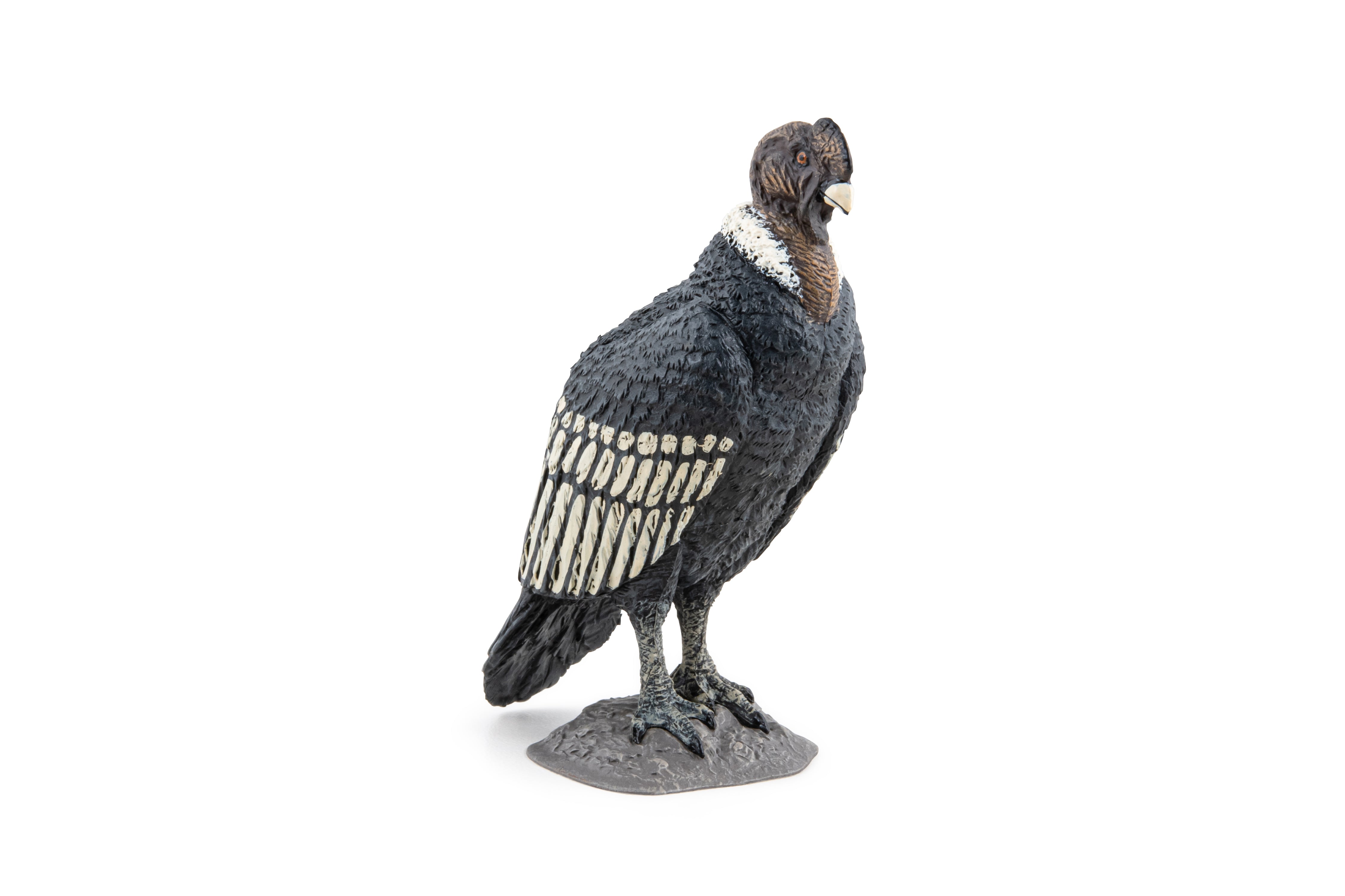 PAPO FIGURINA CONDOR - Imagine 3 [ps:97c3a3b9-a5f2-415e-97aa-a2e47a697ecf]
