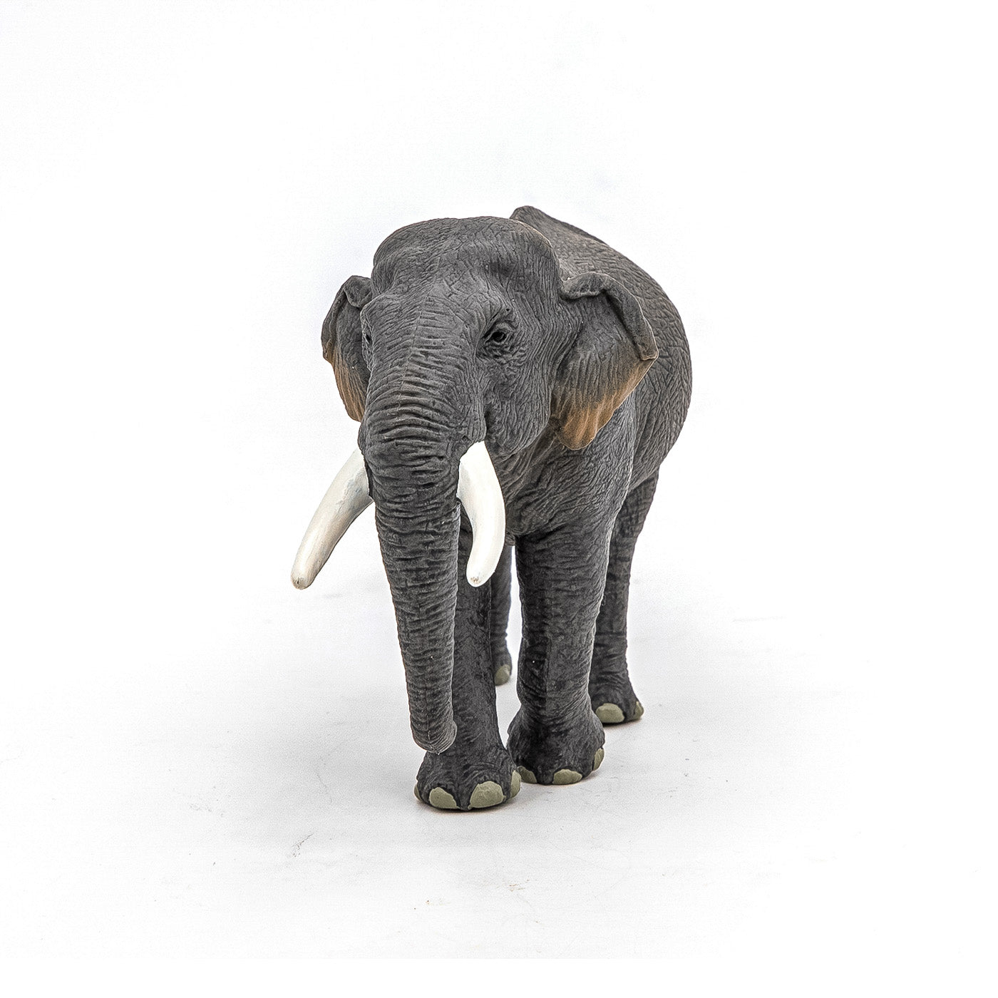 PAPO FIGURINA ELEFANT ASIATIC - Imagine 5