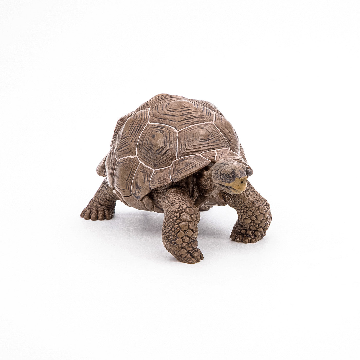 PAPO FIGURINA TESTOASA GALAPAGOS - Imagine 5