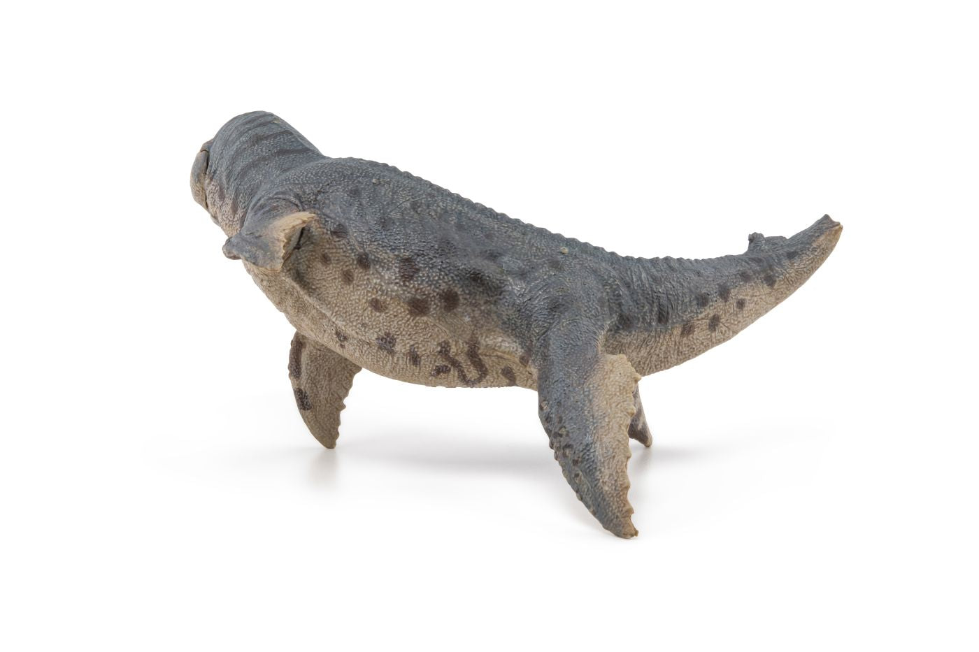 PAPO FIGURINA KRONOSAURUS - Imagine 2 [ps:8f47583e-0e4a-48e8-8311-5482e3896b16]