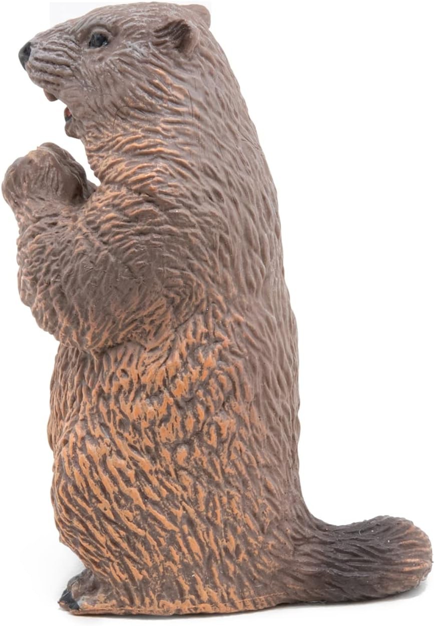 PAPO FIGURINA CASTOR - Imagine 3 [ps:091f2a1c-3eee-445d-904f-5c5d5f6611af]