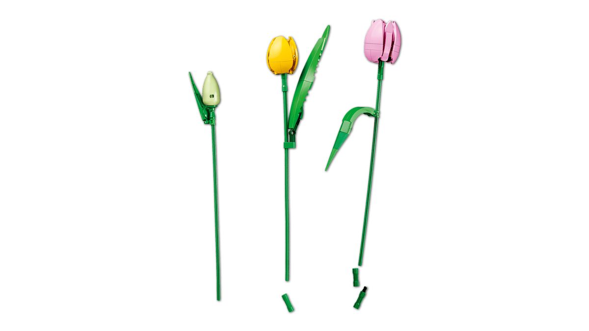 LEGO BOTANICALS BUCHET DE LALELE 11501 - Imagine 6 [ps:e5bb5de1-1f46-43b1-ac97-6c98059b7b54]
