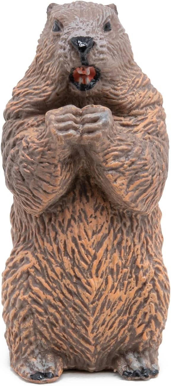 PAPO FIGURINA CASTOR - Imagine 5 [ps:41a8dcf2-8b52-41a9-a0bb-924df7097acf]