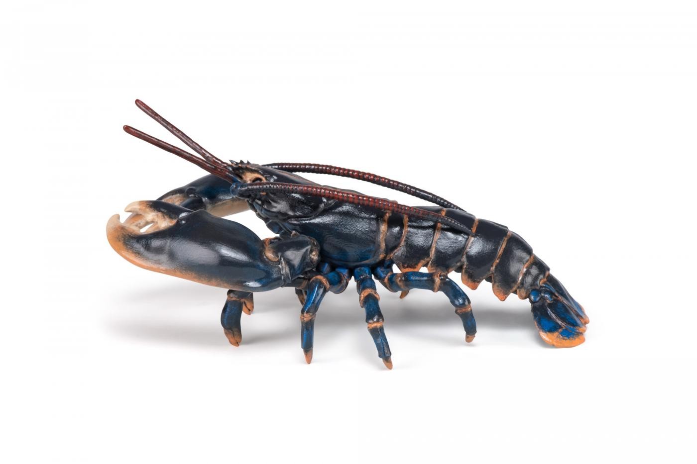 [ps:2f1bb395-f00d-4a1f-af49-569db983debb]