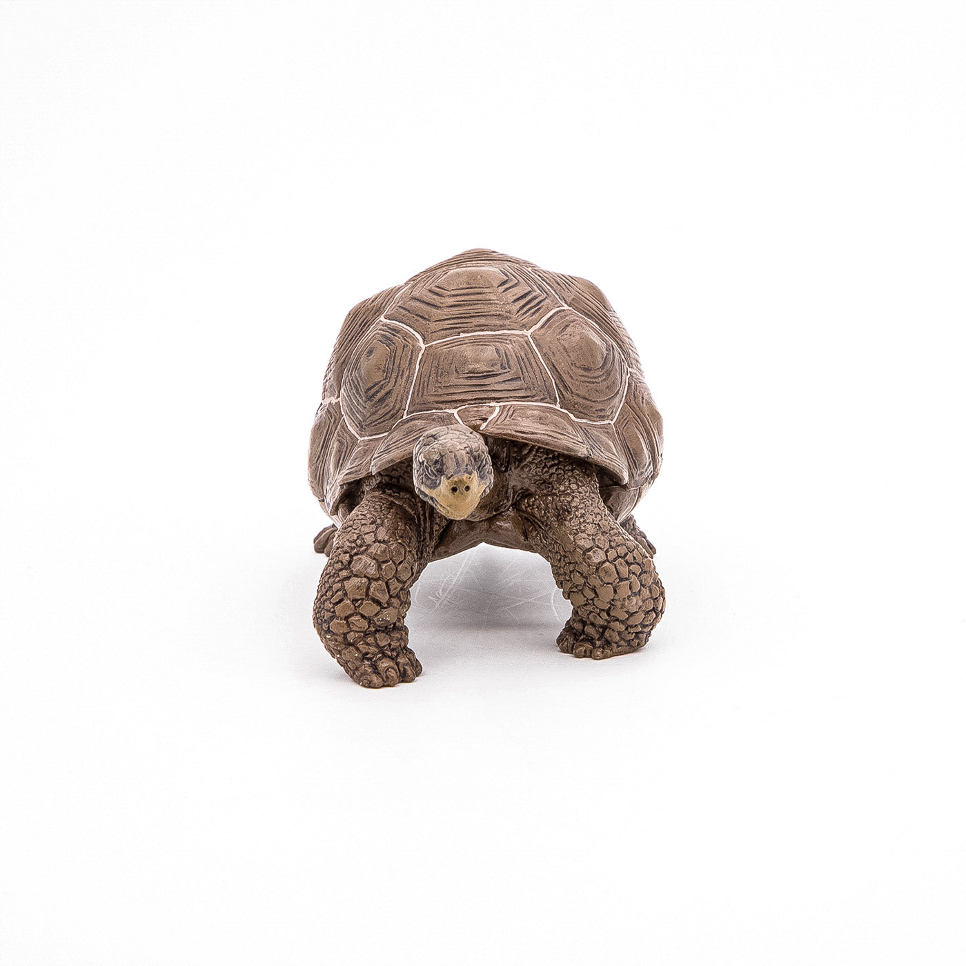 PAPO FIGURINA TESTOASA GALAPAGOS - Imagine 6