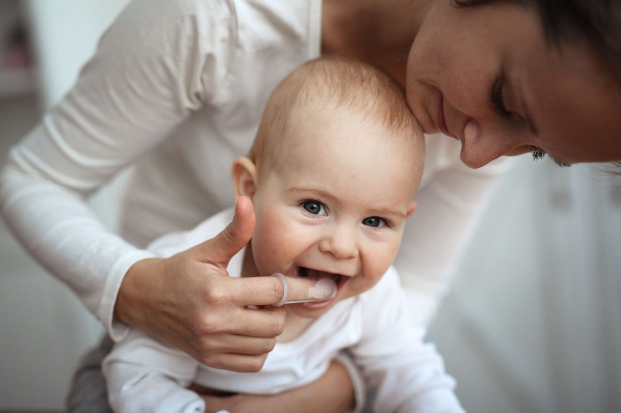 Periuta de dinti tip degetar, BabyJem - Imagine 6 [ps:bfdc8317-6afb-400e-9802-17a34936a2db]