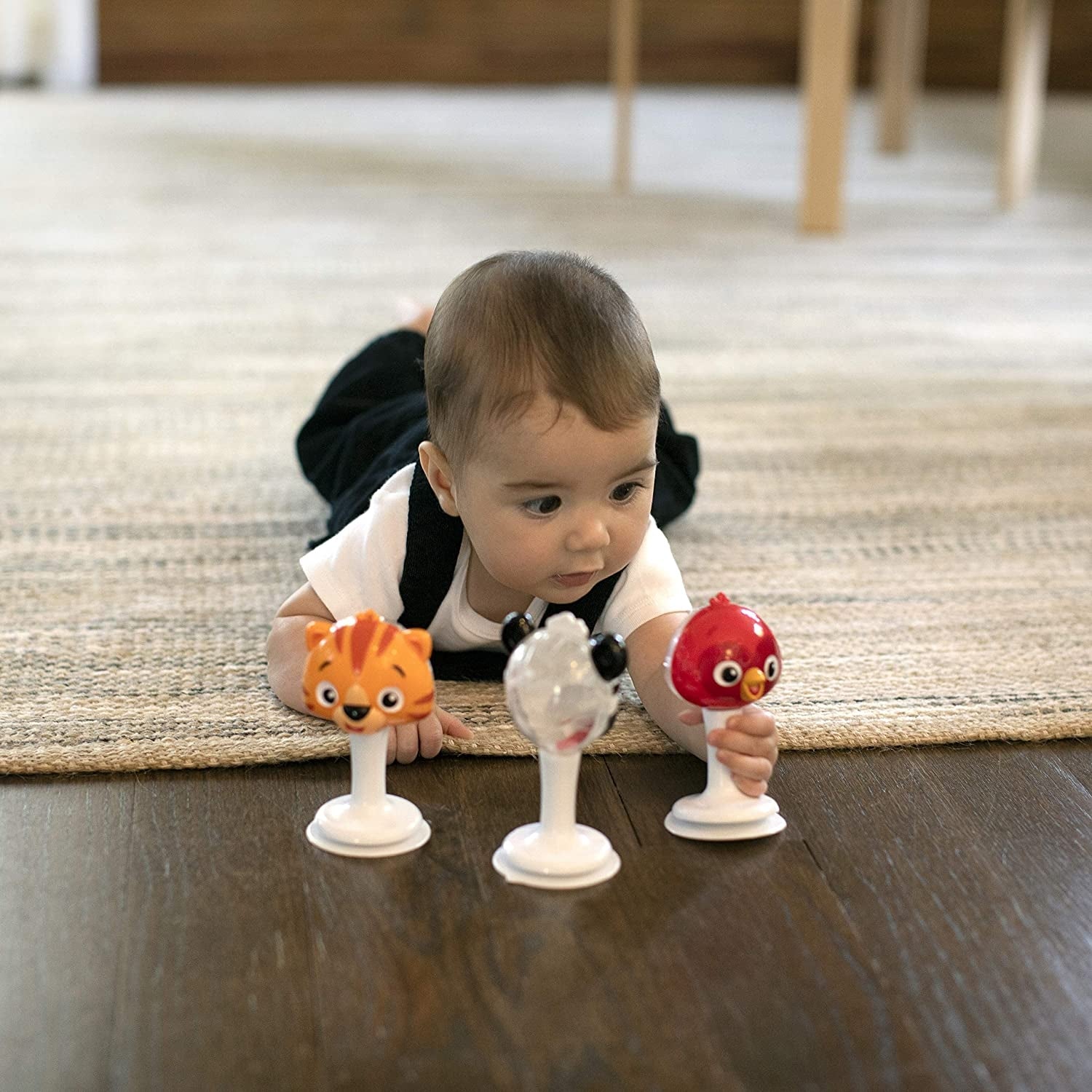 Set 3 Jucării Multisenzoriale Baby Einstein - Animale - Default Title (6) [ps:a2e5ede9-5d44-44a3-9aac-c4a9ab94e0b9]