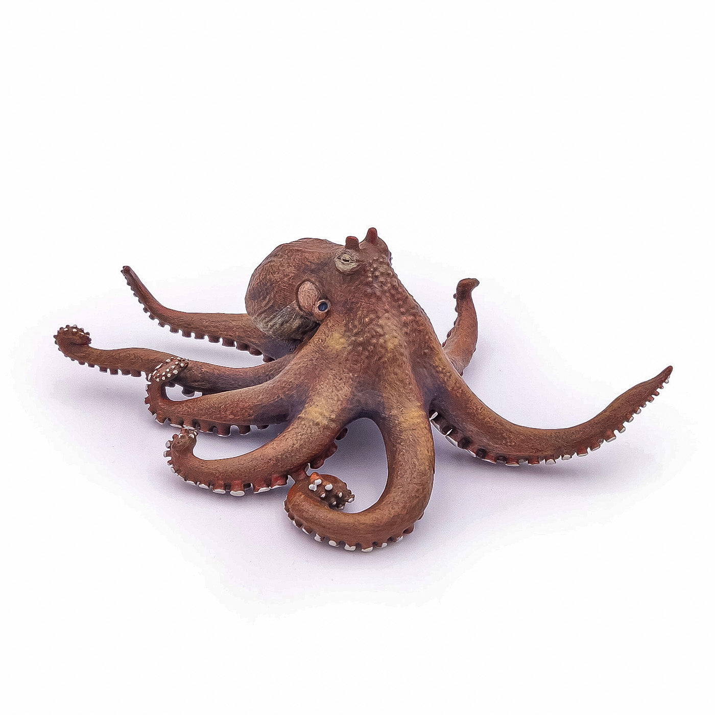 PAPO FIGURINA CARACATITA - Imagine 2 [ps:f00ea27c-1649-411a-870e-d48b1af5e0c5]