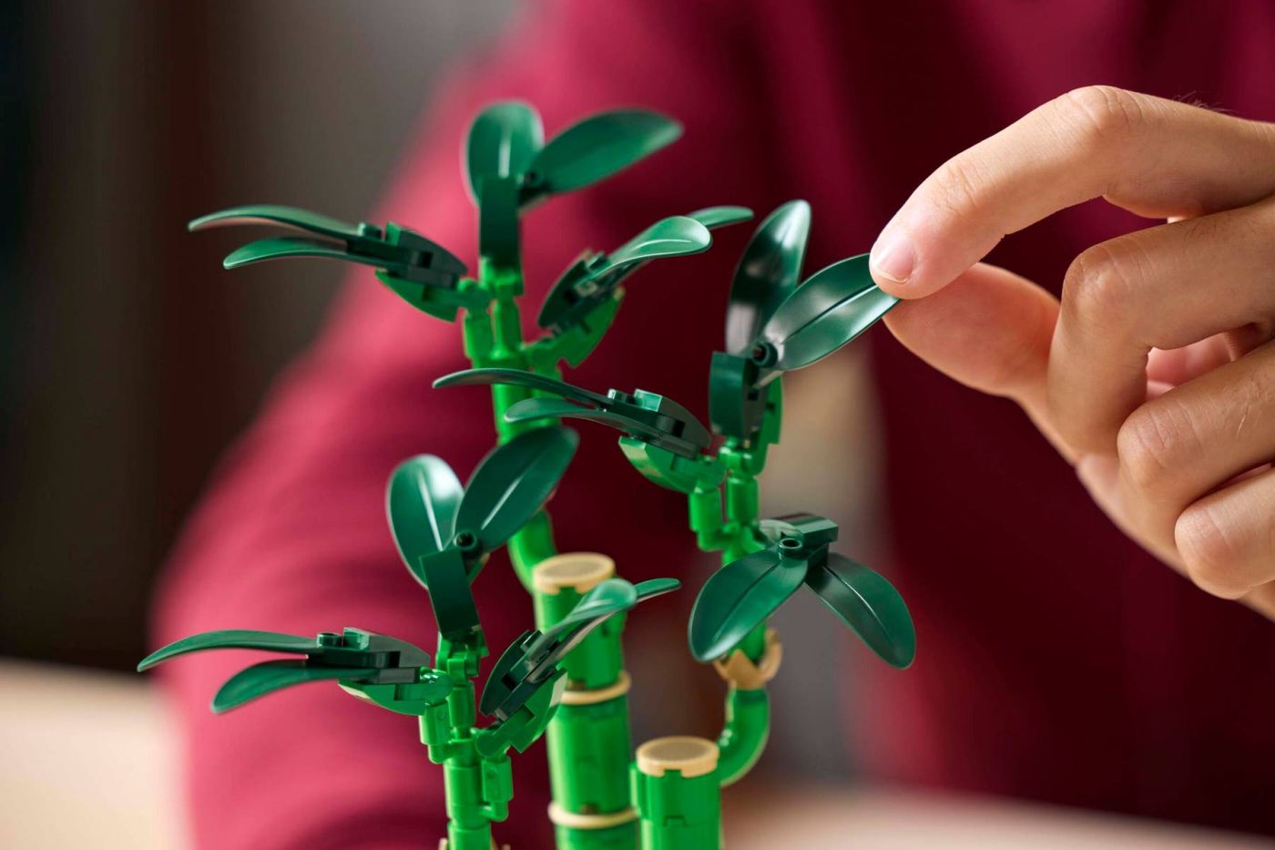 LEGO BOTANICALS BAMBUS NOROCOS 10344 - Imagine 6