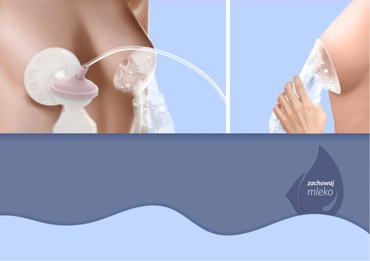 Neno Leite – colector pentru lapte - Imagine 6