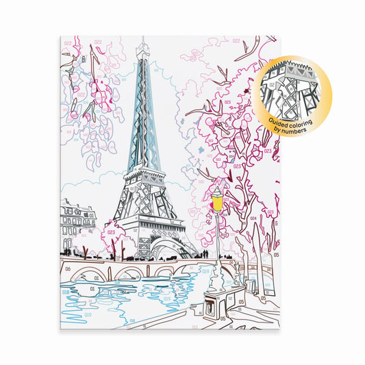 PICTEAZA SI INRAMEAZA PARISUL PRIMAVARA AS - Imagine 6