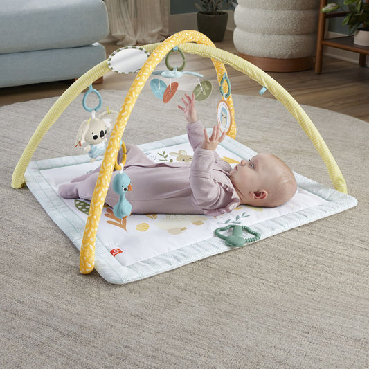 FISHER PRICE SALTELUTA DE GIMNASTICA PENTRU NOU NASCUTI - Imagine 6