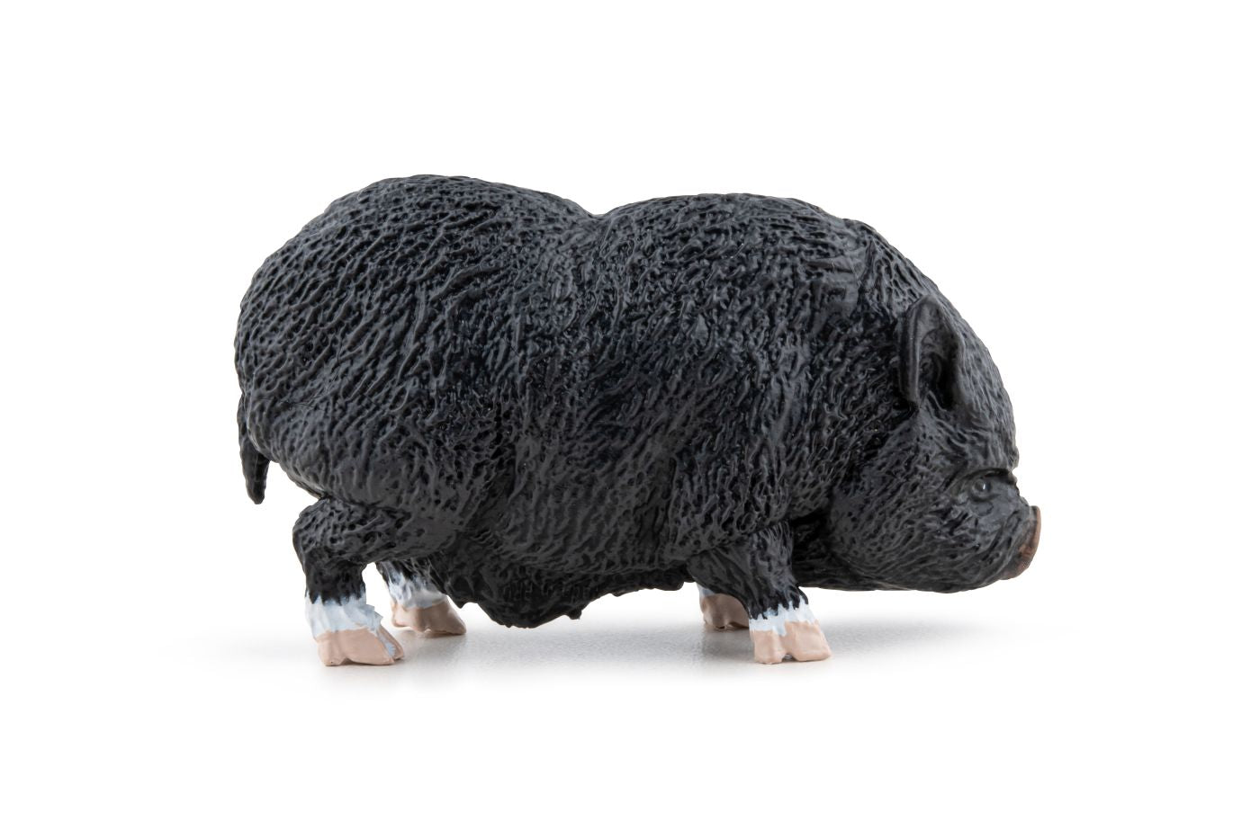 PAPO FIGURINA PORC VIETNAMEZ - Imagine 2 [ps:70d24321-b220-4f54-baa4-2831757daa24]