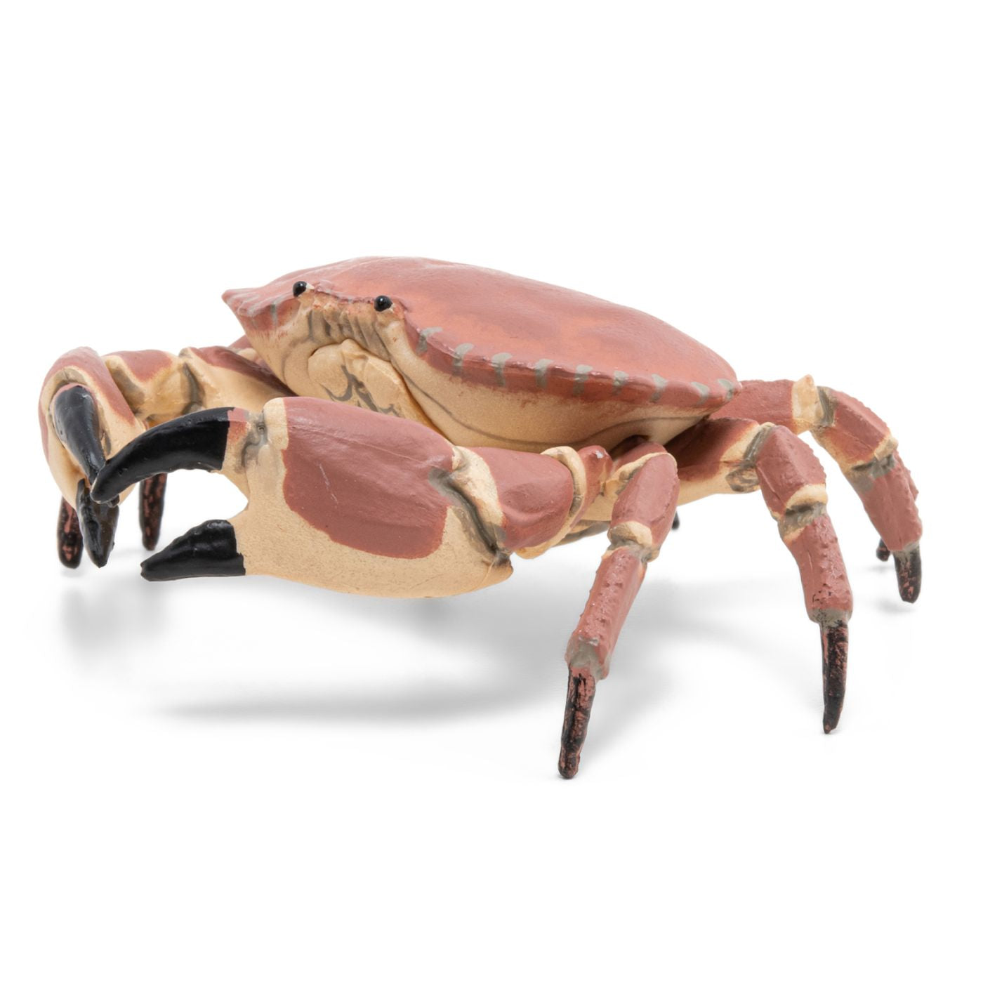 PAPO FIGURINA CRAB - Imagine 5 [ps:187f5139-fa7c-4c39-91c4-dab17b0f56f9]