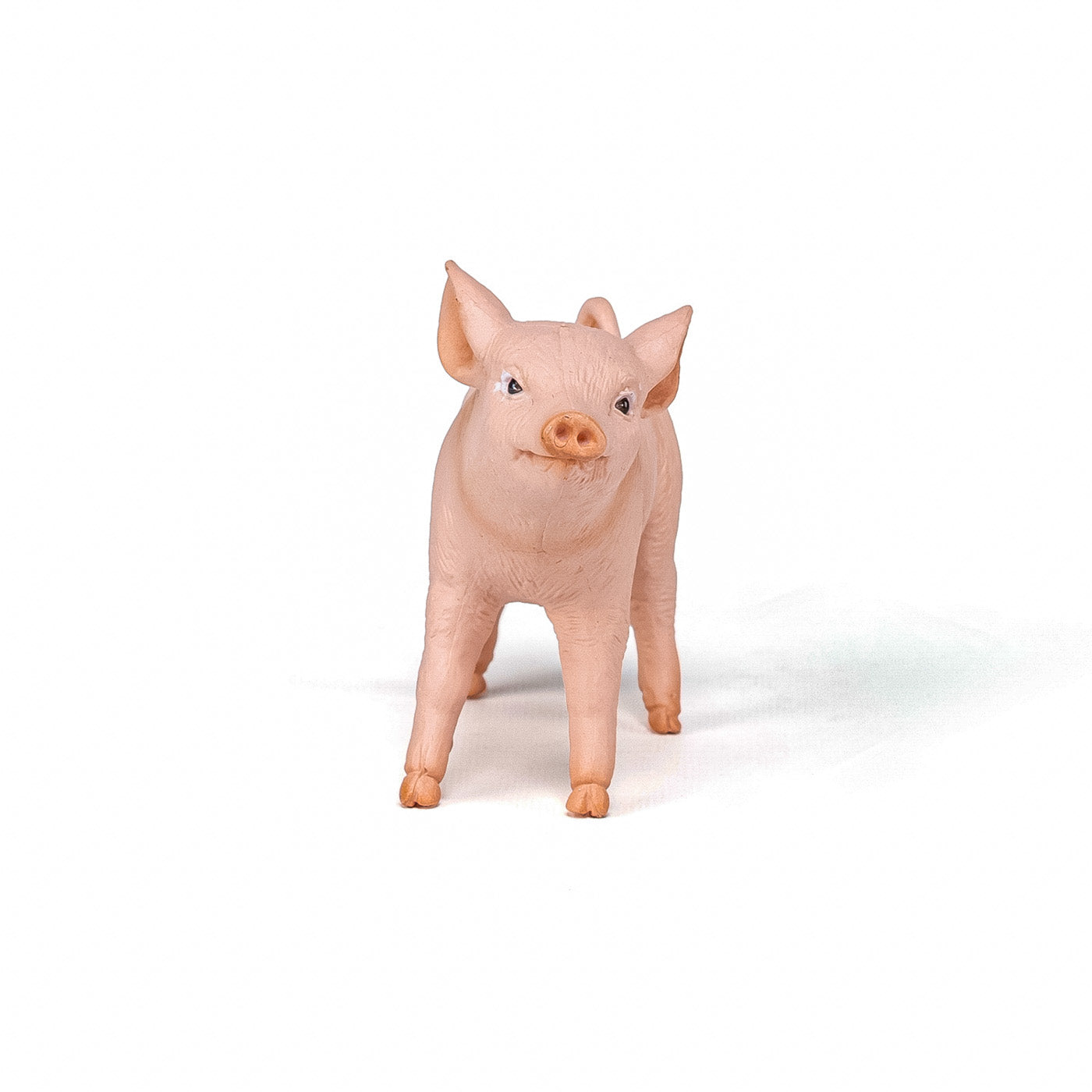 PAPO FIGURINA PURCICA - Imagine 4 [ps:e42c9d66-1e24-4dcf-baaa-9afa62a89ba4]