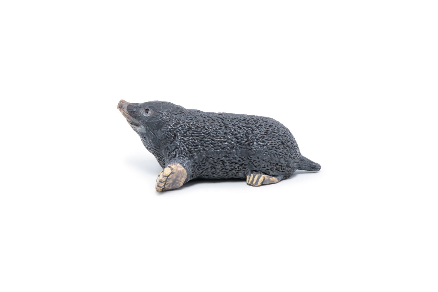 PAPO FIGURINA CARTITA - Imagine 6