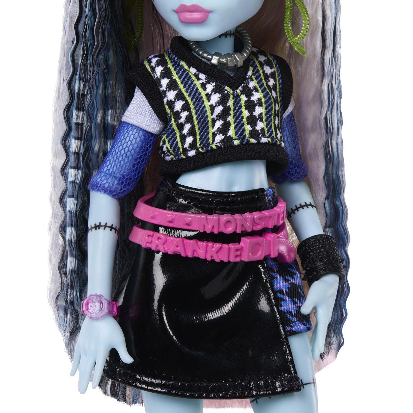 MONSTER HIGH PAPUSA FRANKIE STEIN CU ACCESORII Mattel - Imagine 9 [ps:148b279a-da77-46ba-8c25-5bed5ebf30c3]