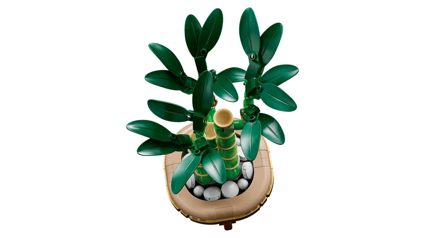 LEGO BOTANICALS BAMBUS NOROCOS 10344 - Imagine 7