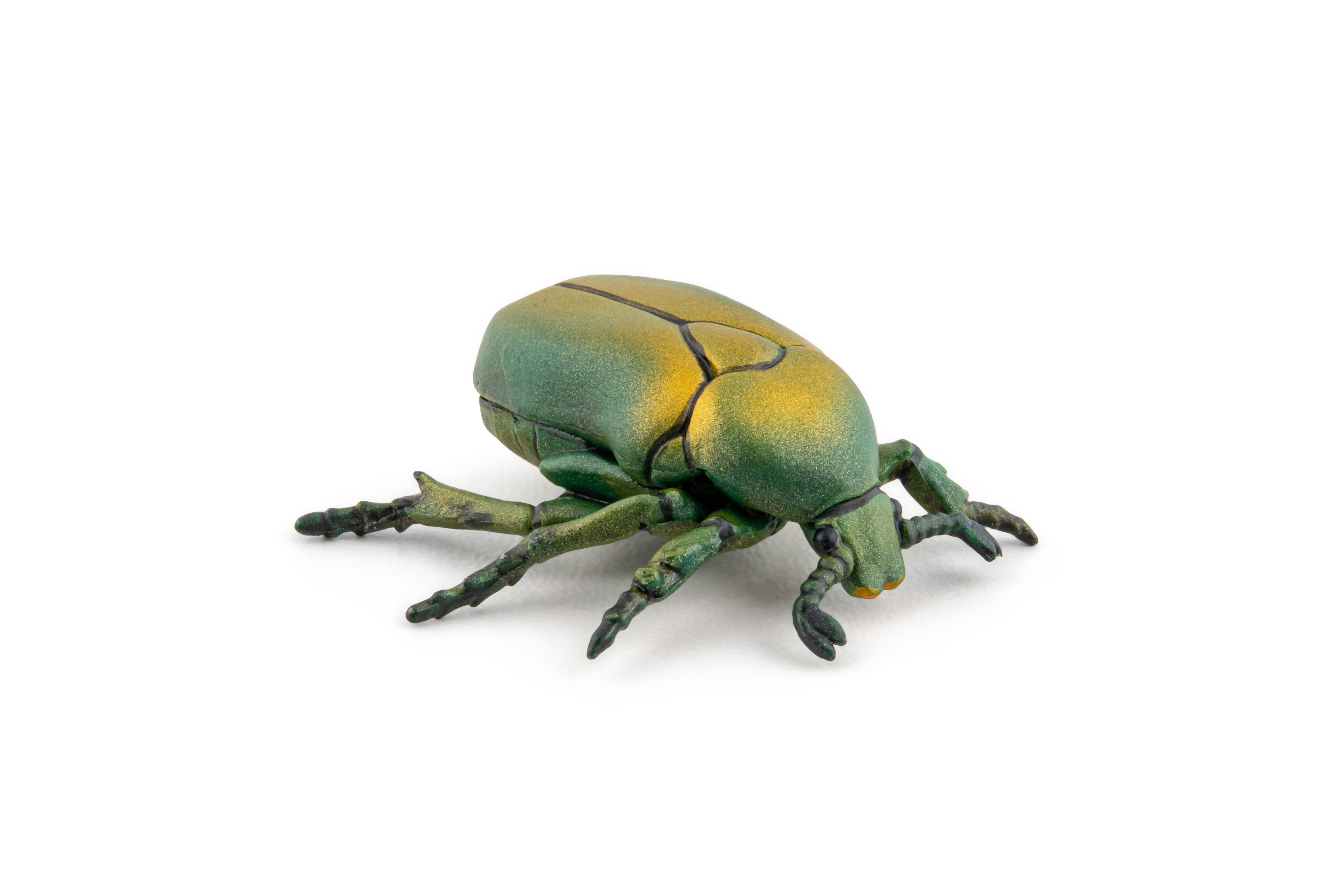PAPO FIGURINA CARABUS - Imagine 6 [ps:c6791765-aeab-4659-b3a0-93ac1dabf5b3]