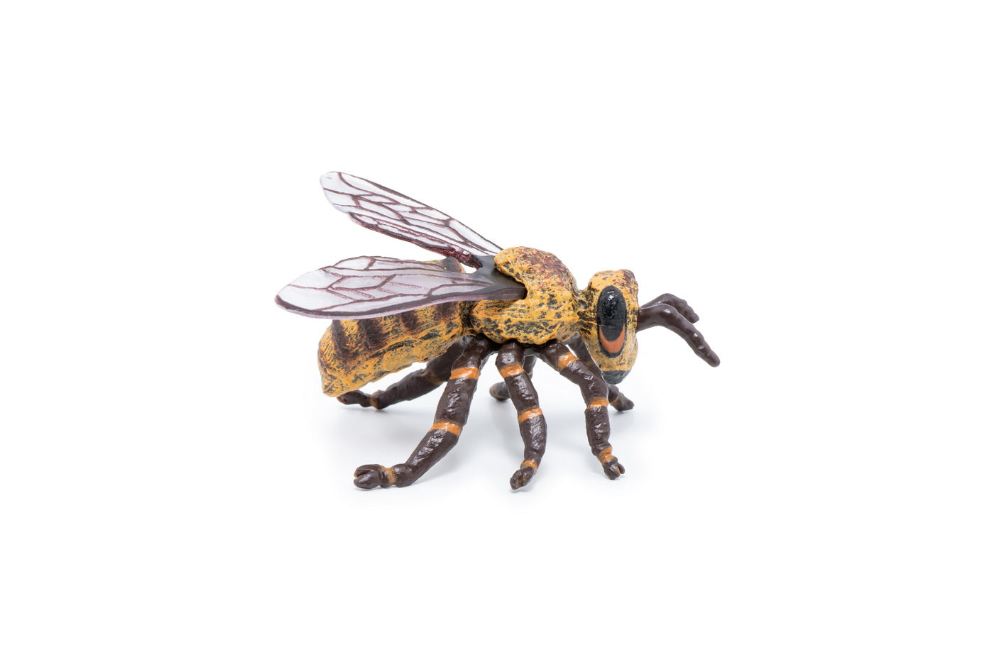 PAPO FIGURINA ALBINA - Imagine 6 [ps:0a02f86d-4059-495f-b5ab-52fafb8a9830]