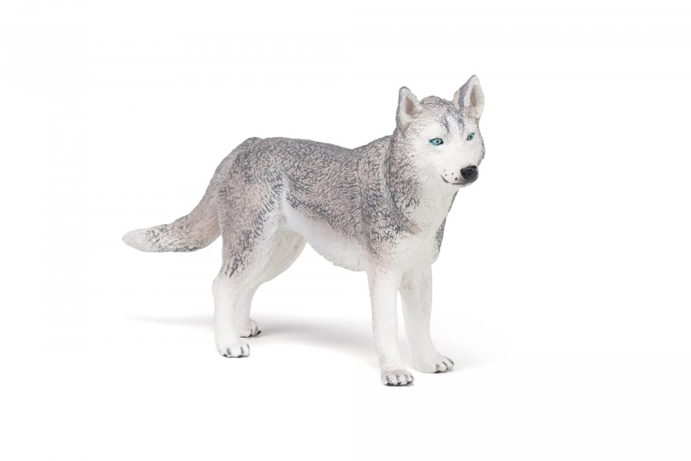 PAPO FIGURINA HUSKY SIBERIAN - Imagine 3 [ps:3ad2e95c-0663-4659-9318-12d393779626]