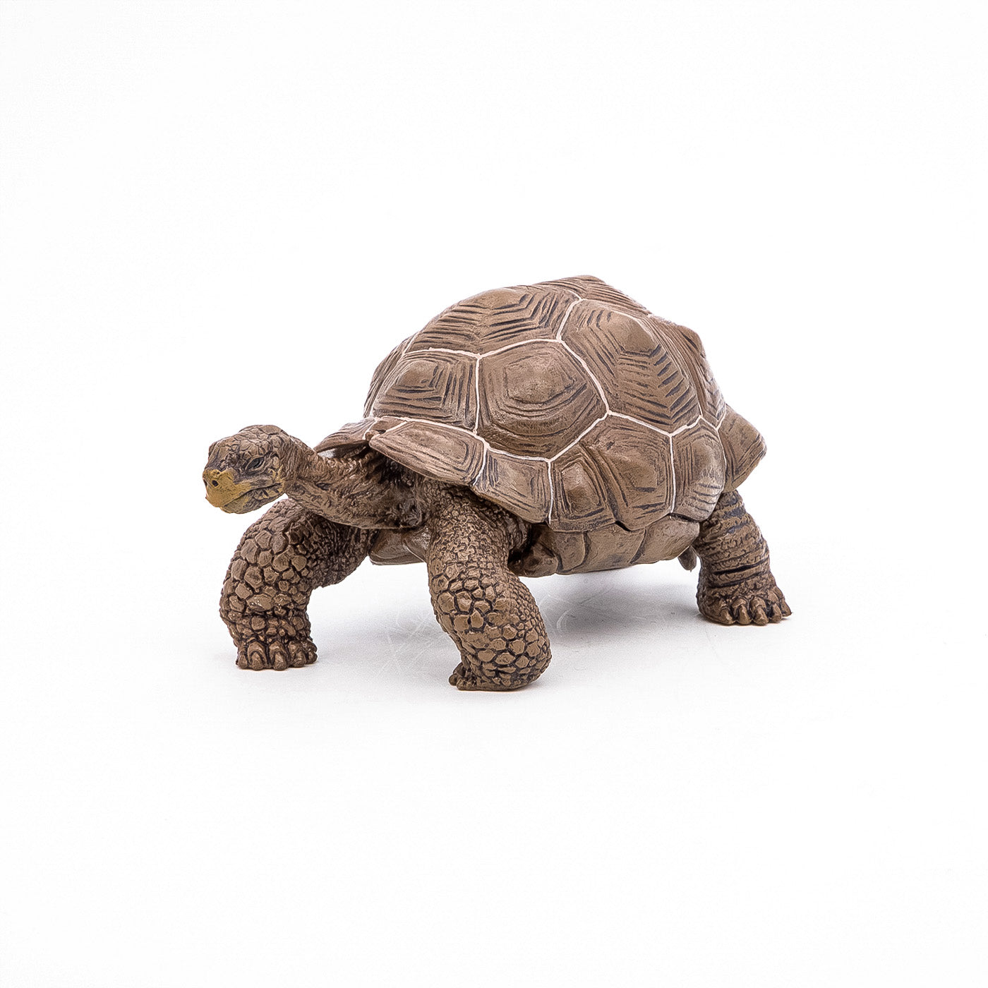 PAPO FIGURINA TESTOASA GALAPAGOS - Imagine 7