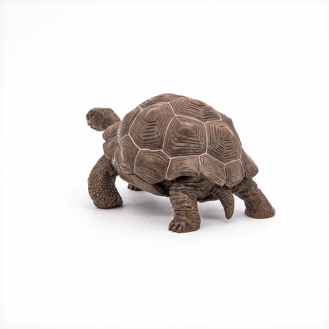 PAPO FIGURINA TESTOASA GALAPAGOS - Imagine 8