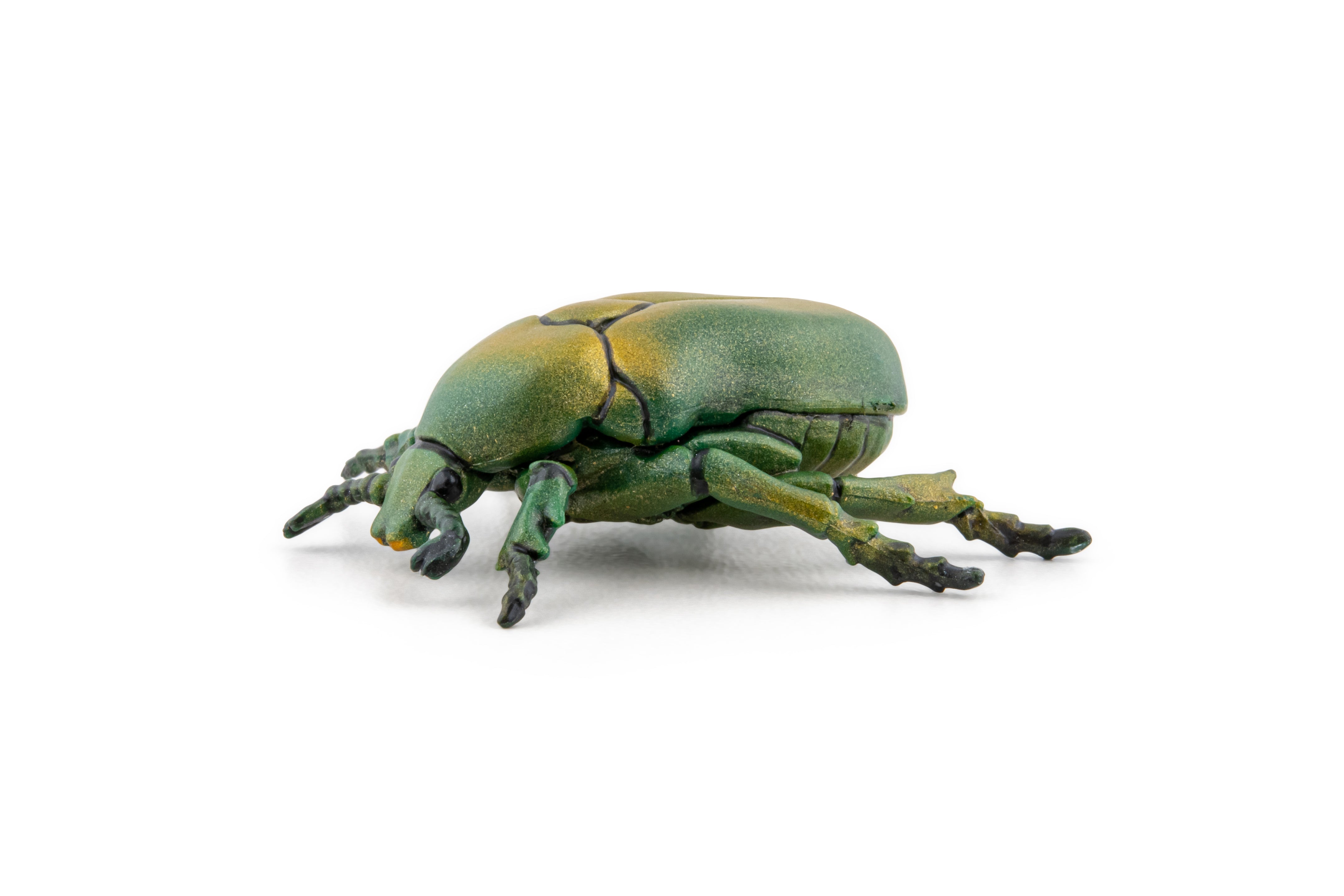 PAPO FIGURINA CARABUS - Imagine 4 [ps:cd8e19d6-0183-4523-8c58-e56ab6bd4800]
