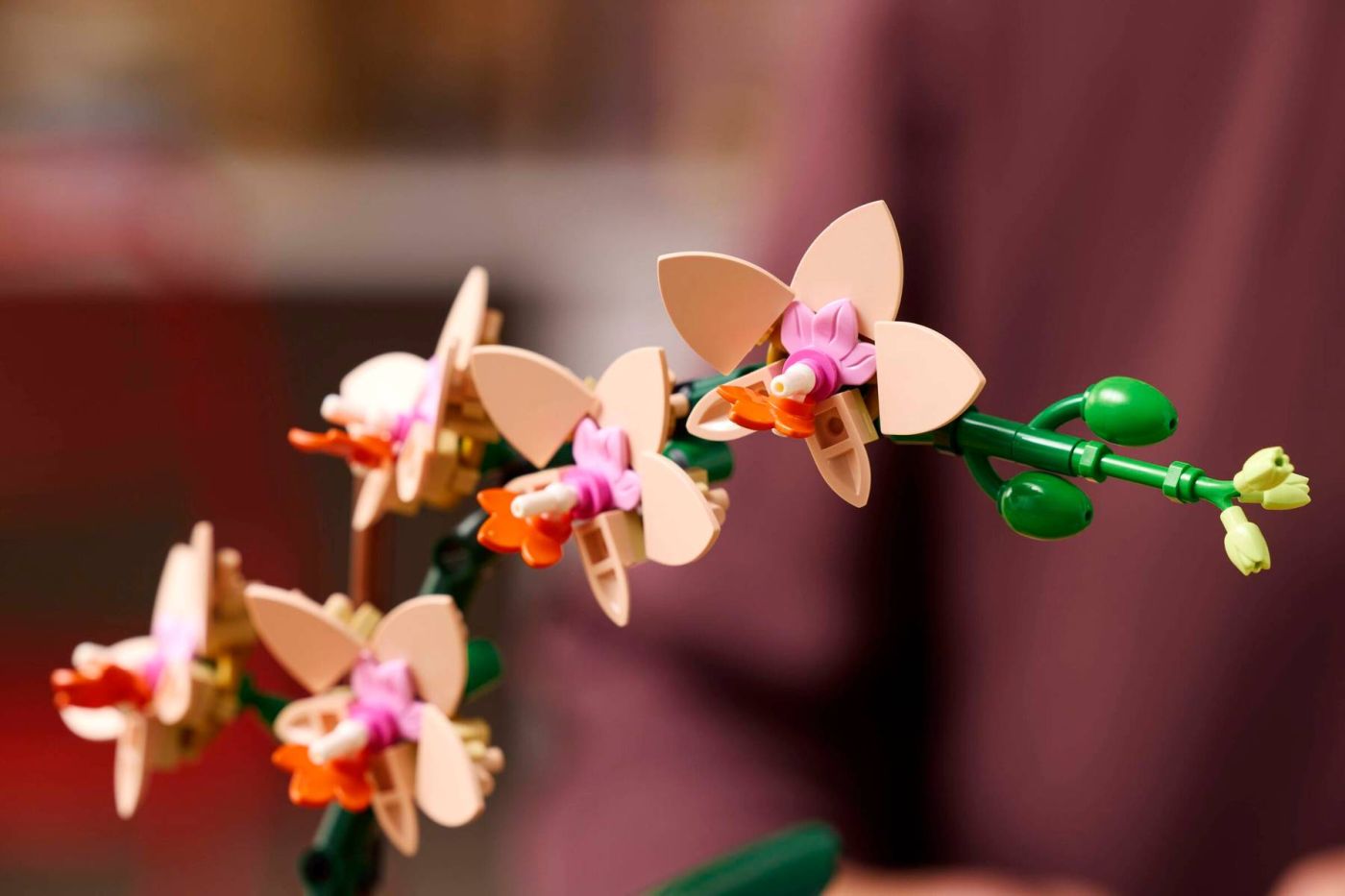 LEGO BOTANICALS MINI ORHIDEE 10343 - Imagine 9 [ps:4d99bb07-8176-43ab-9e67-ff1676ab9927]