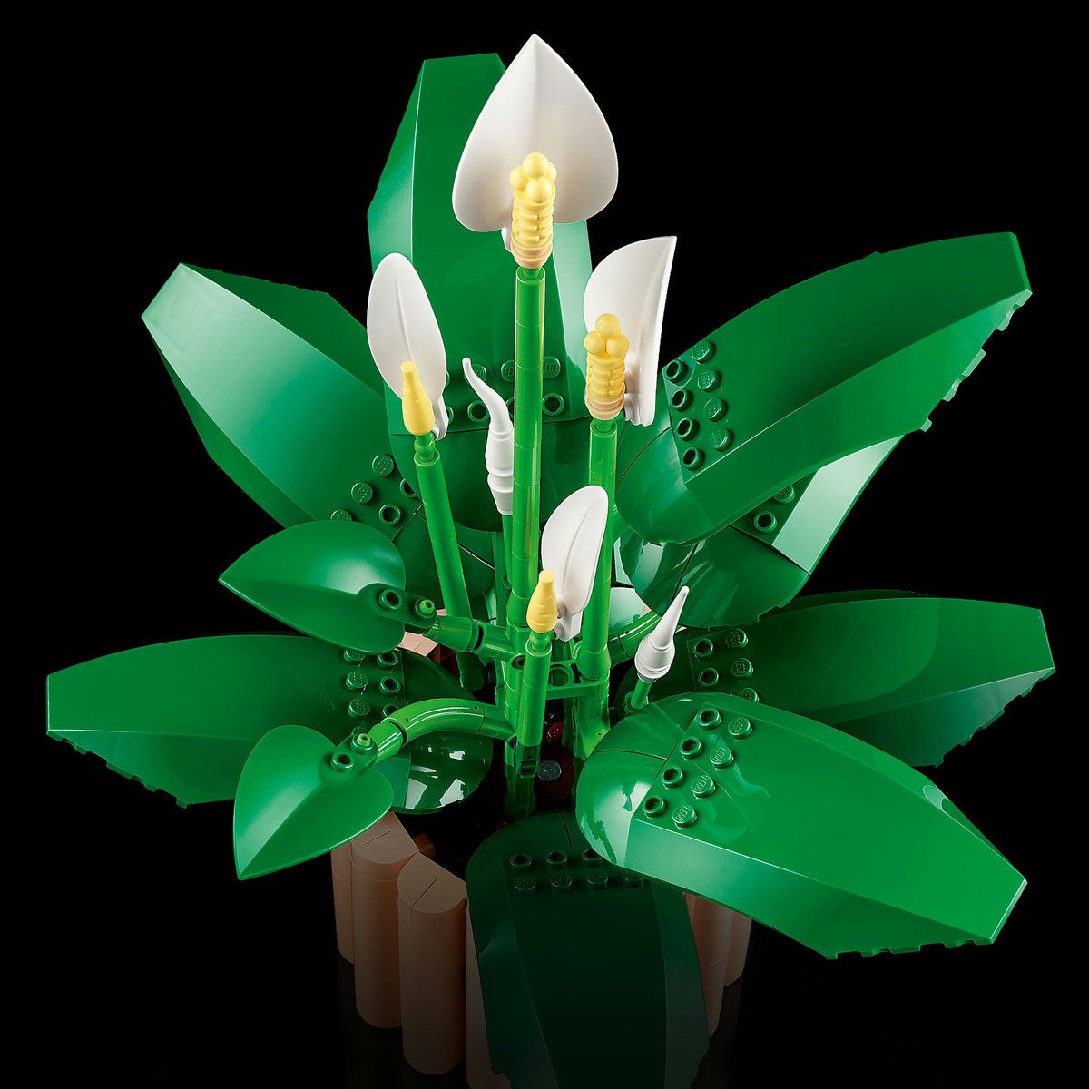 LEGO BOTANICALS CRINUL PACII 11504 - Imagine 6 [ps:8facd25f-c0ee-4377-8f5b-13e3199d2db3]