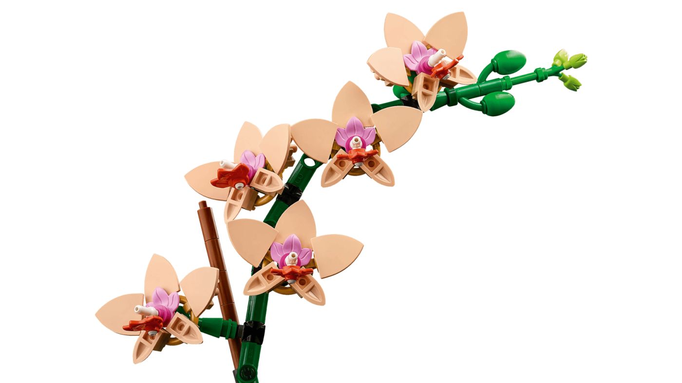 LEGO BOTANICALS MINI ORHIDEE 10343 - Imagine 6 [ps:ddda3b0b-46d6-4b5e-a3c7-587d597c3341]