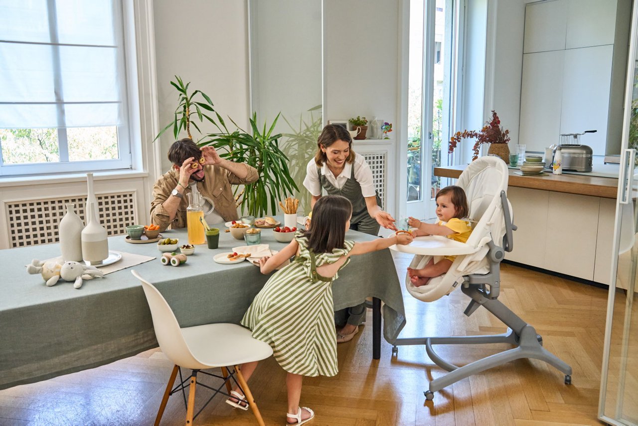 Cosulet multifunctional 5 in 1 Chicco Baby Hug Pro, - Default Title (10) [ps:eb731fb7-6343-44fc-bbce-e24d30ee710c]