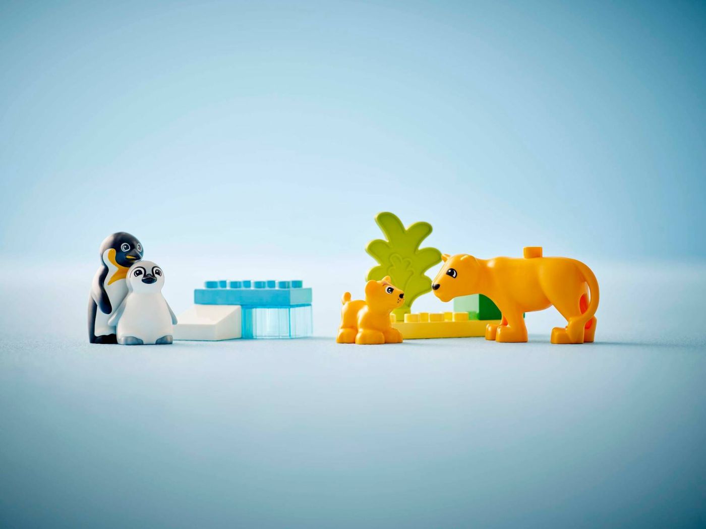 LEGO DUPLO FAMILII DE ANIMALE SALBATICE: PINGUINI SI LEI 10442 [ps:a4af7ee6-0466-487e-87b6-7db33a9222bb]