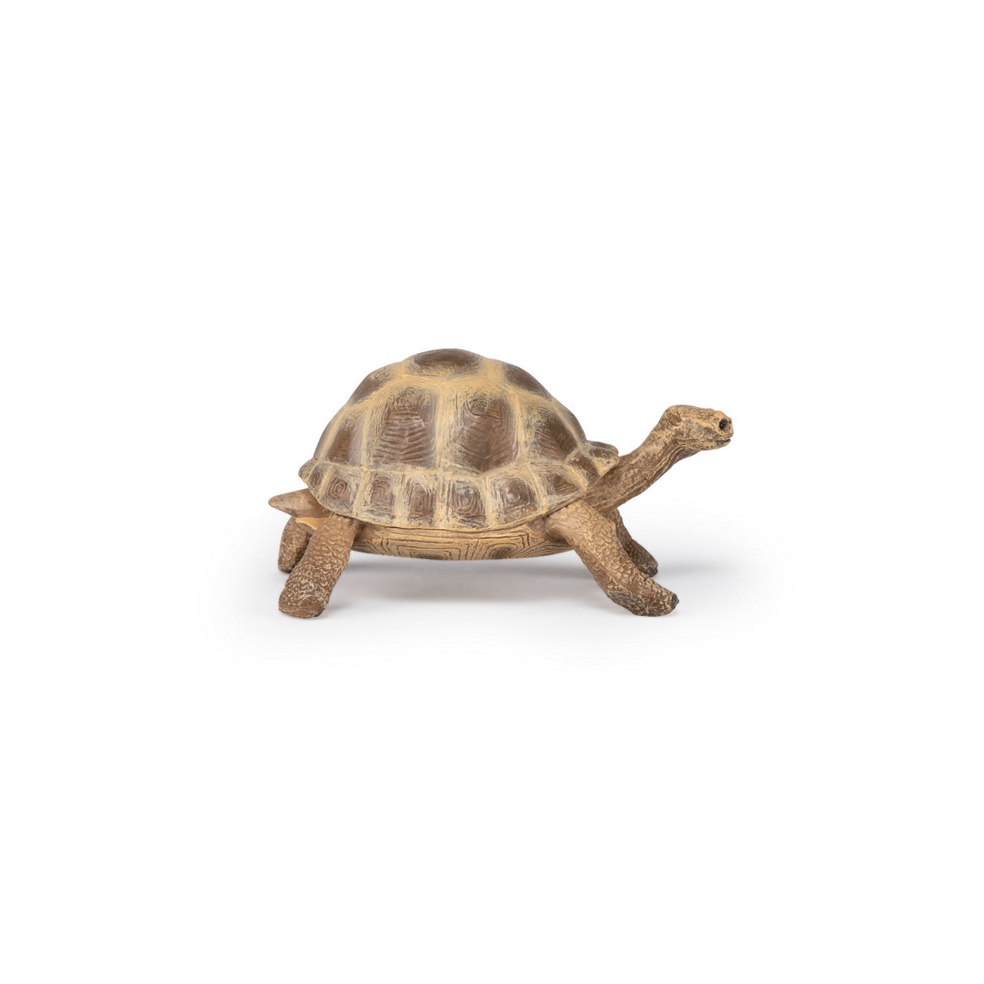 PAPO FIGURINA TESTOASA GALAPAGOS - Imagine 10