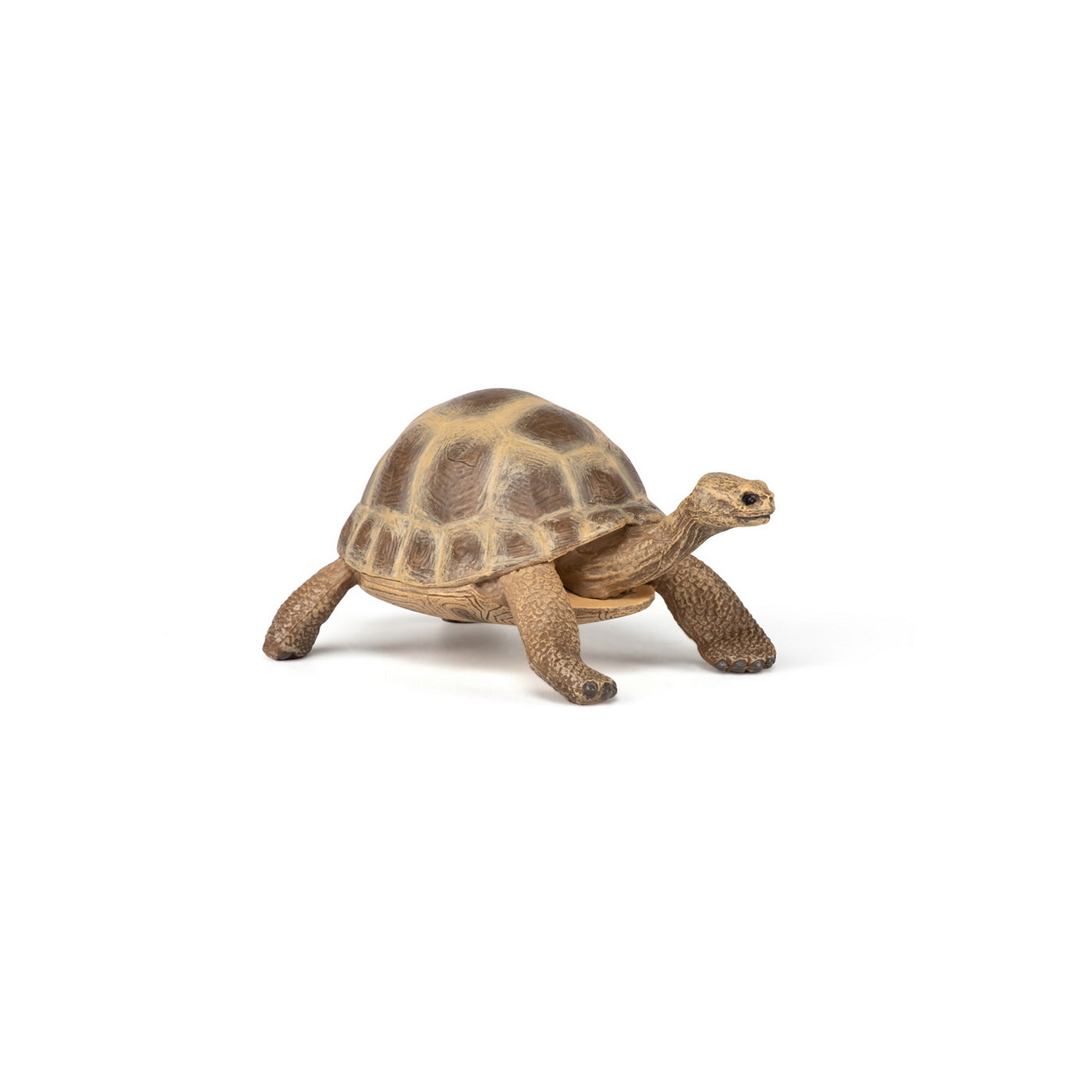 PAPO FIGURINA TESTOASA GALAPAGOS - Imagine 11