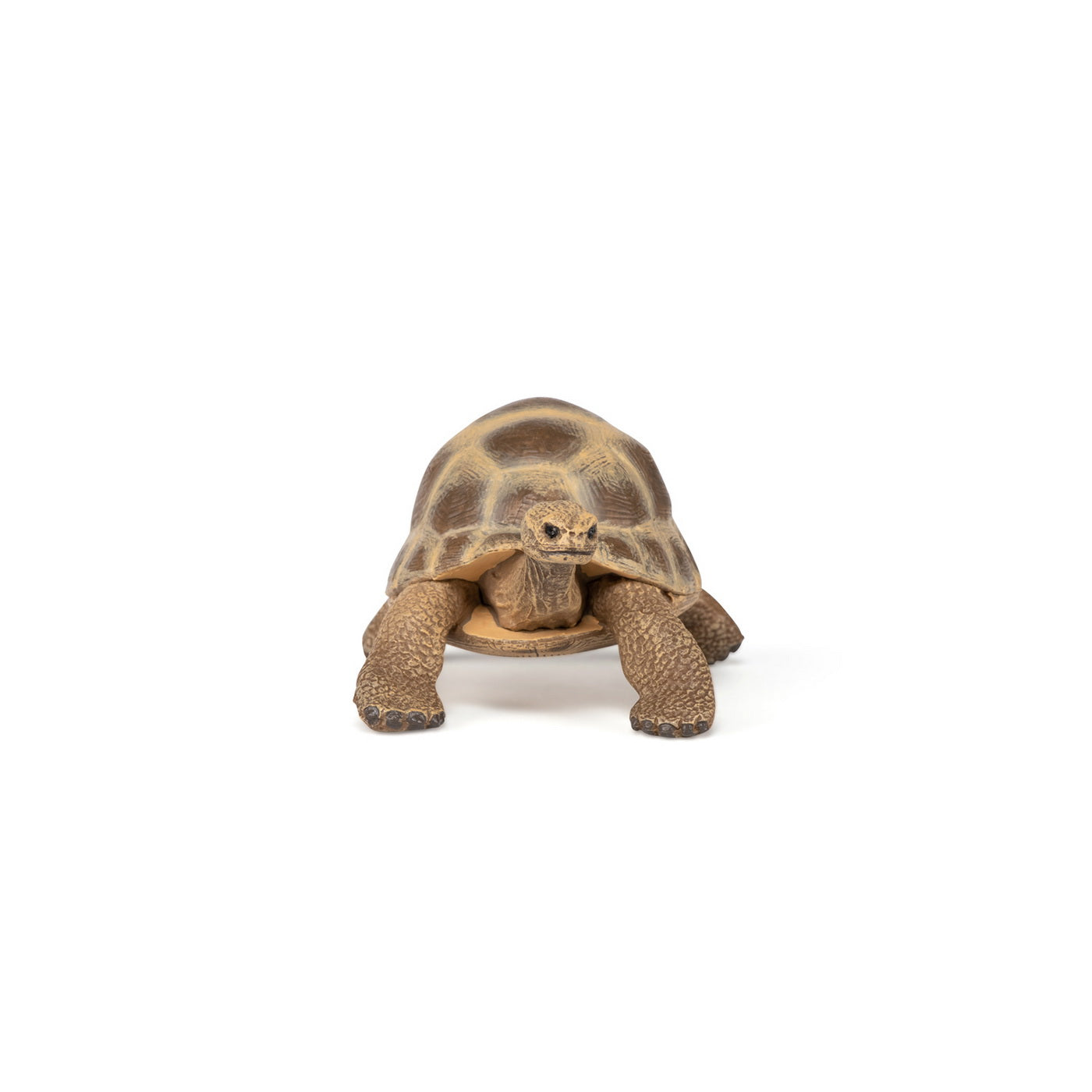 PAPO FIGURINA TESTOASA GALAPAGOS - Imagine 12